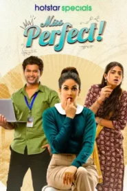 Miss Perfect Web Series Free Download (2024)- Hindi Season 1 Complete