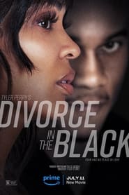 Tyler Perrys Divorce in the Black Movie Free Download (2024)-Hindi Dubbed