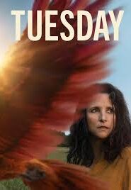 Tuesday Movie Free Download (2024)-HQ Hindi Dubbed