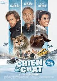 Cat and Dog Movie Free Download (2024)-HQ Hindi Dubbed