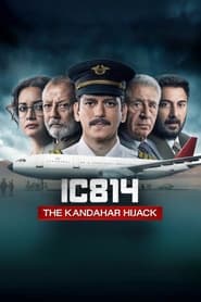 IC 814: The Kandahar Hijack Web Series Free Download (2024)-Hindi Season 1 Complete Netflix